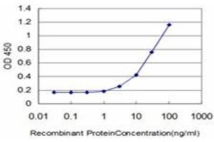 Image no. 1 for anti-Eukaryotic Translation Initiation Factor 4 gamma 3 (EIF4G3) (AA 1-516) antibody (ABIN599055) (EIF4G3 Antikörper  (AA 1-516))
