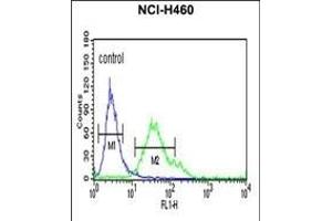 Flow Cytometry (FACS) image for anti-Fc Fragment of IgG, High Affinity Ia, Receptor (CD64) (FCGR1A) (AA 217-245) antibody (ABIN651123)