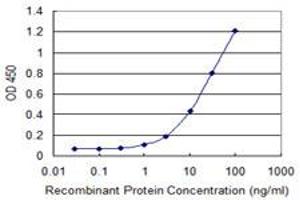 Detection limit for recombinant GST tagged USP45 is 0. (USP45 Antikörper  (AA 106-196))