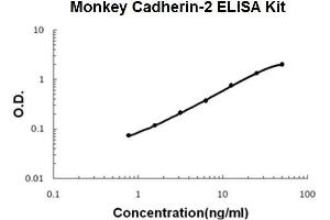 Monkey Primate Cadherin-2/N-Cadherin PicoKine ELISA Kit standard curve (N-Cadherin ELISA Kit)