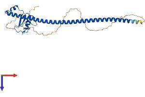 CCNB1IP1 Protein (AA 1-277) (His tag)
