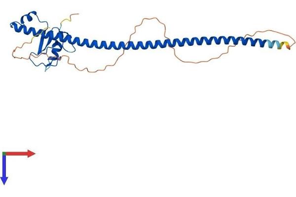 CCNB1IP1 Protein (AA 1-277) (His tag)