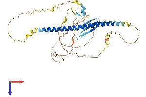 GEMC1 Protein (AA 1-334) (His tag)
