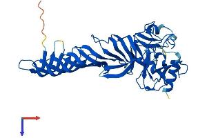 SETD7 Protein (AA 1-366) (His tag)