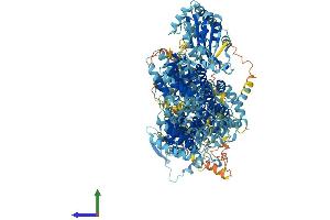 Protein Structure (PS) image for Adenylate Cyclase 10 (Soluble) (ADCY10) (AA 1-1610) protein (His tag) (ABIN7552063)