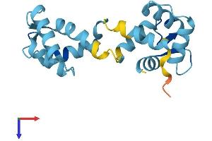 CABP5 Protein (AA 1-173) (His tag)