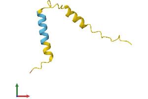AlphaFold protein structure predicition of Human Recombinant MIR22HG Protein, UniprotID Q0VDD5