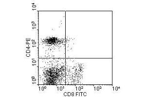 Image no. 1 for anti-CD4 (CD4) antibody (Biotin) (ABIN135474) (CD4 Antikörper  (Biotin))