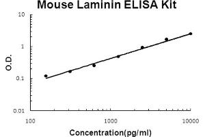 Mouse Laminin Accusignal ELISA Kit Mouse Laminin AccuSignal ELISA Kit standard curve.
