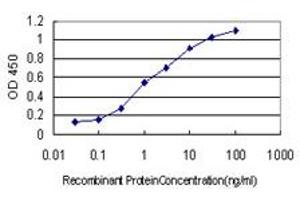 Detection limit for recombinant GST tagged HGS is approximately 0. (HGS Antikörper  (AA 513-612))