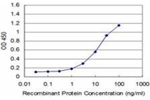 Detection limit for recombinant GST tagged LIMK1 is approximately 1ng/ml as a capture antibody. (LIM Domain Kinase 1 Antikörper  (AA 548-647))