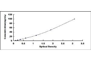 Typical standard curve (ELANE ELISA Kit)