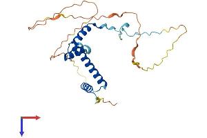 TAF9B Protein (AA 1-251) (His tag)