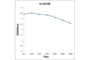 Antigen: 2ug/100ul Primary: Antiserum, 1:500, 1:1000, 1:2000, 1:4000, 1:8000, 1:16000, 1:32000, Secondary: HRP conjugated Rabbit Anti-Goat IgG-HRP) at 1: 5000, TMB stainingRead the data in Microplate Reader by 450nm. (FOXA1 Antikörper  (AA 151-250))
