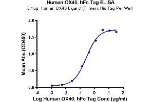 ELISA image for Tumor Necrosis Factor Receptor Superfamily, Member 4 (TNFRSF4) (AA 29-216) protein (Fc Tag) (ABIN7275387)