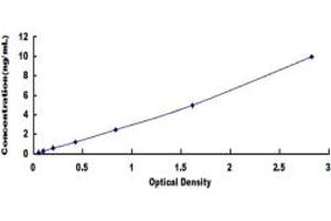 Typical standard curve (FOLR2 ELISA Kit)