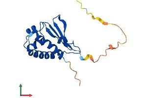 Protein Structure (PS) image for BTG Family, Member 2 (BTG2) (AA 1-158) protein (His tag) (ABIN7552780)
