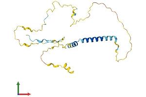Protein Structure (PS) image for Tumor Protein P53 Inducible Nuclear Protein 2 (TP53INP2) (AA 1-221) protein (His tag) (ABIN7559312)