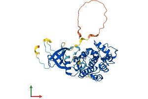 Protein Structure (PS) image for Cyclin-Dependent Kinase 9 (CDK9) (AA 1-372) protein (His tag) (ABIN7564878)