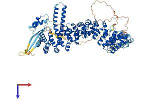 KIFAP3 Protein (AA 1-793) (His tag)