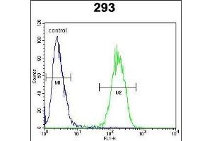 IL17F Antibody (N-term) (ABIN654914 and ABIN2844560) flow cytometric analysis of 293 cells (right histogram) compared to a negative control cell (left histogram). (IL17F Antikörper  (N-Term))