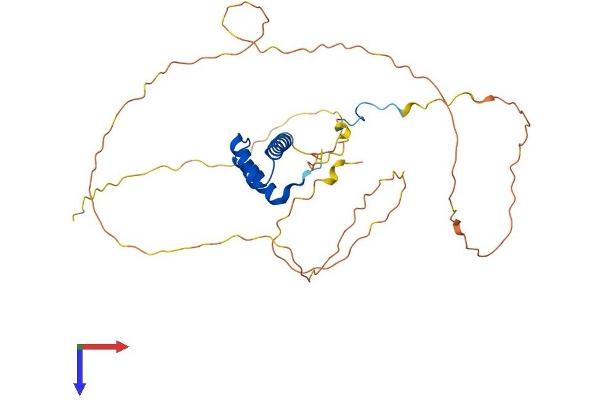 HOXA1 Protein (AA 1-335) (His tag)