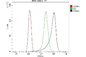 Flow Cytometry analysis of HELA cells using anti-PDE6 alpha/PDE6A antibody (ABIN7599710). (PDE6A Antikörper  (AA 11-237))
