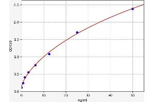 Platelet/endothelial Cell Adhesion Molecule (PECAM1) ELISA Kit