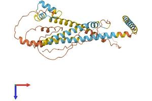 APOL6 Protein (AA 1-343) (His tag)