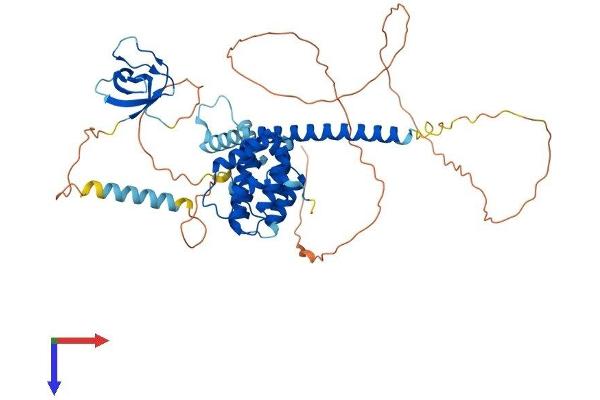 STAM2 Protein (AA 1-525) (His tag)