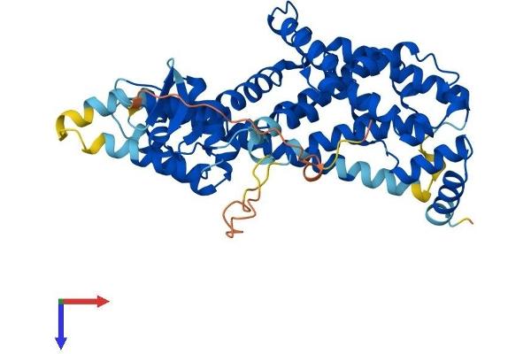 RASGEF1B Protein (AA 1-473) (His tag)