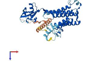 AlphaFold protein structure predicition of Human Recombinant TECRL Protein, UniprotID Q5HYJ1