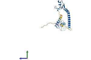 AlphaFold protein structure predicition of Human Recombinant TRIM61 Protein, UniprotID Q5EBN2