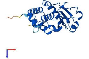 Dual Specificity Phosphatase 3 (DUSP3) (AA 1-185) protein (His tag)