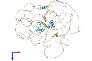 ZNF281 Protein (AA 1-895) (His tag)