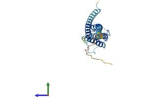 Protein Structure (PS) image for Lipoma HMGIC Fusion Partner-Like 4 (LHFPL4) (AA 1-247) protein (His tag) (ABIN7557563)