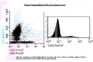 Image no. 1 for anti-CD6 (CD6) antibody (PerCP) (ABIN1112223) (CD6 Antikörper  (PerCP))