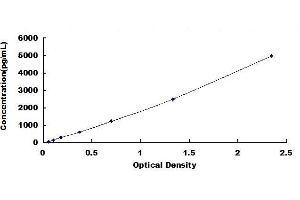 Typical standard curve (AKT2 ELISA Kit)