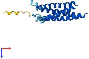 Mal, T-Cell Differentiation Protein-Like (Mall) (AA 1-153) protein (His tag)