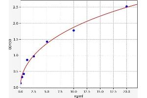 Typical standard curve (MAP2K7 ELISA Kit)