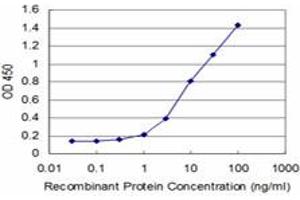 Detection limit for recombinant GST tagged HOXA5 is approximately 0. (HOXA5 Antikörper  (AA 171-270))