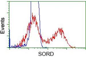 HEK293T cells transfected with either pCMV6-ENTRY SORD (RC200415) (Red) or empty vector control plasmid (Blue) were immunostained with anti-SORD mouse monoclonal (ABIN2453674), and then analyzed by flow cytometry. (SORD Antikörper)