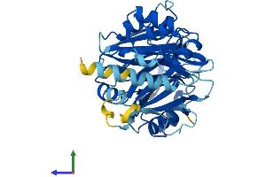 Protein Structure (PS) image for 4-Hydroxyphenylpyruvate Dioxygenase-Like (HPDL) (AA 1-371) protein (His tag) (ABIN7559491)