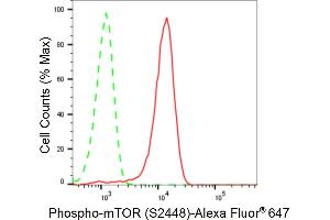 Flow cytometric analysis of Phospho-mTOR (S(ABIN7800001) expression in HeLa cells using Phospho-mTOR (S(ABIN7800001) antibody (ABIN7799348), 1:2,000). (Rekombinanter MTOR Antikörper  (pSer2448))