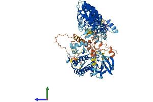Protein Structure (PS) image for TNNI3 Interacting Kinase (TNNI3K) (AA 1-835) protein (His tag) (ABIN7544464)