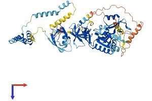 MPP4 Protein (AA 1-637) (His tag)