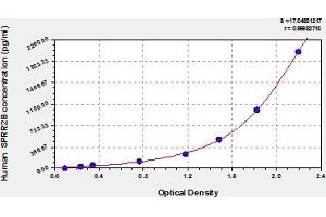 Typical Standard Curve (Small Proline-Rich Protein 2B (SPRR2B) ELISA Kit)