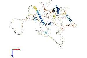 SPATA7 Protein (AA 1-599) (His tag)