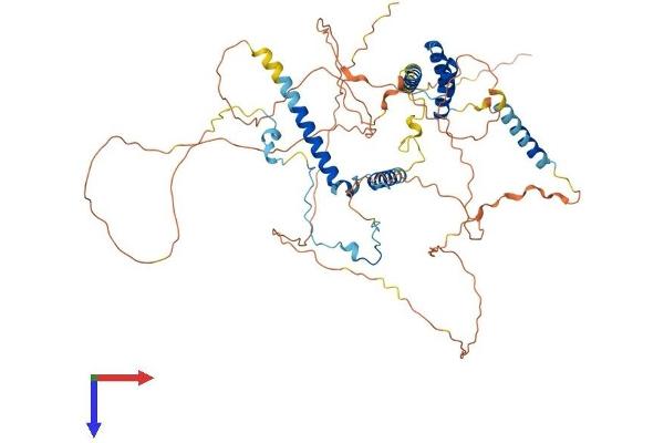 SPATA7 Protein (AA 1-599) (His tag)