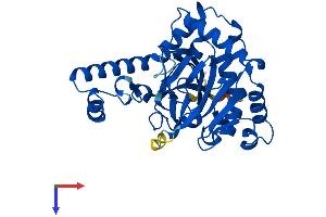 OGFOD2 Protein (AA 1-349) (His tag)